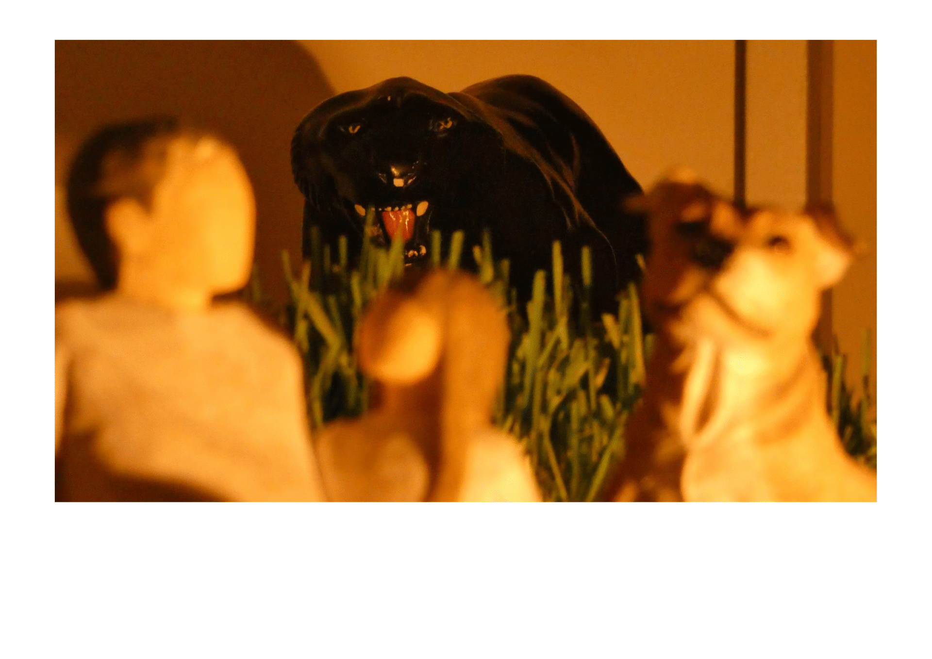 Stalking Panther - NCFE L1 Photography Learner Work