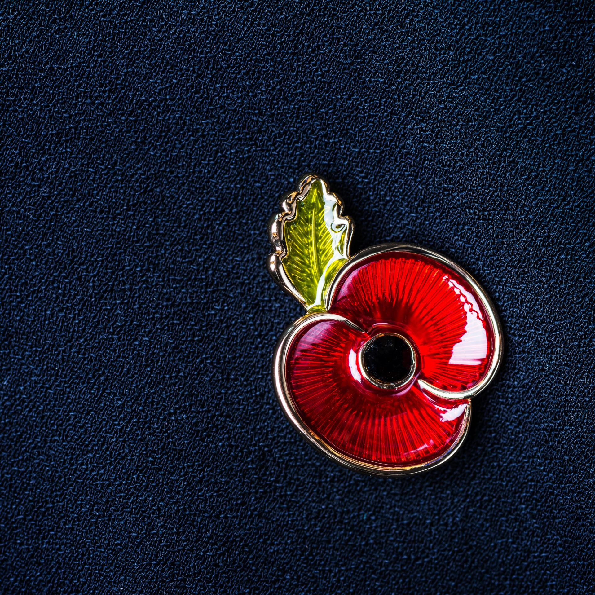 Poppy Collafe Remembrance Day 2025 – History, Facts & Traditions - Havering Adult ...